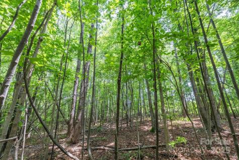 Tbd Catawba Valley Boulevard SE Hickory NC 28601