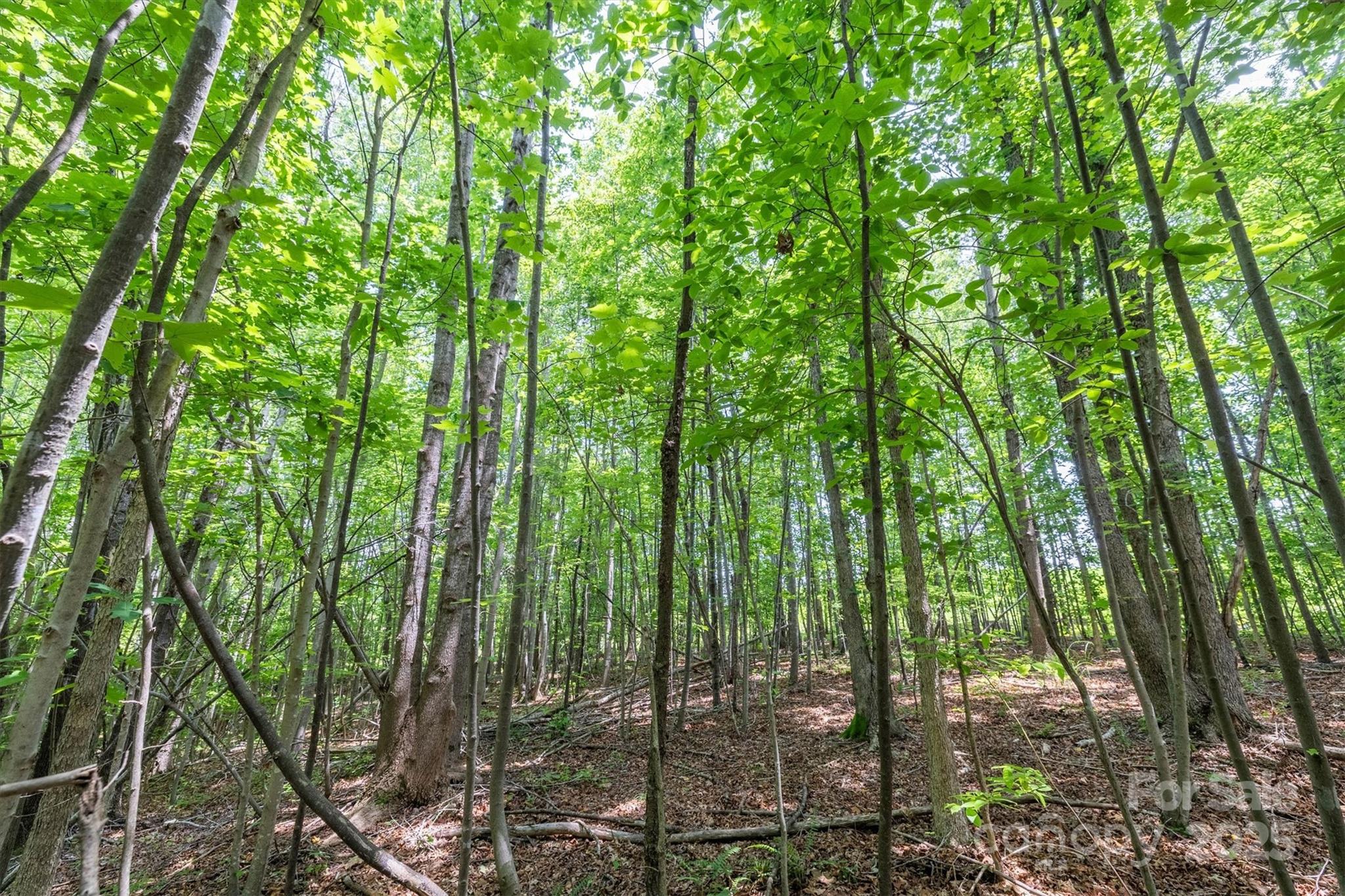 Tbd Catawba Valley Boulevard SE Hickory NC 28601