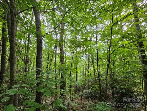 00 Autumn Drive Waynesville NC 28785