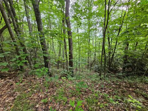 00 Autumn Drive Waynesville NC 28785