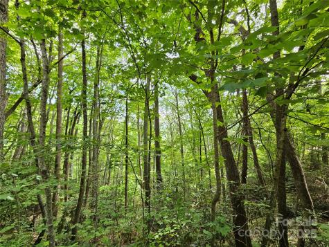 00 Autumn Drive Waynesville NC 28785