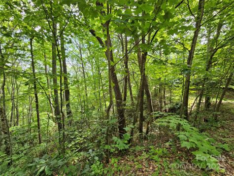 00 Autumn Drive Waynesville NC 28785