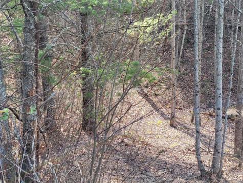 235 Macduff Lane Weaverville NC 28787