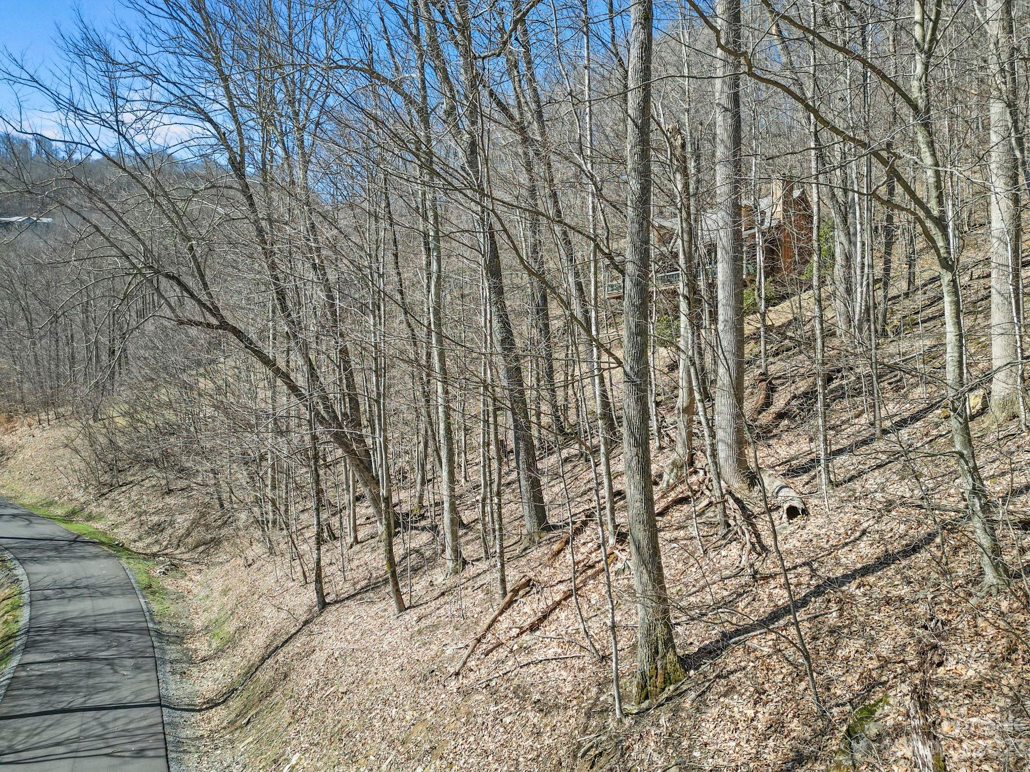 17 Chestnut Village Lane Mars Hill NC 28754
