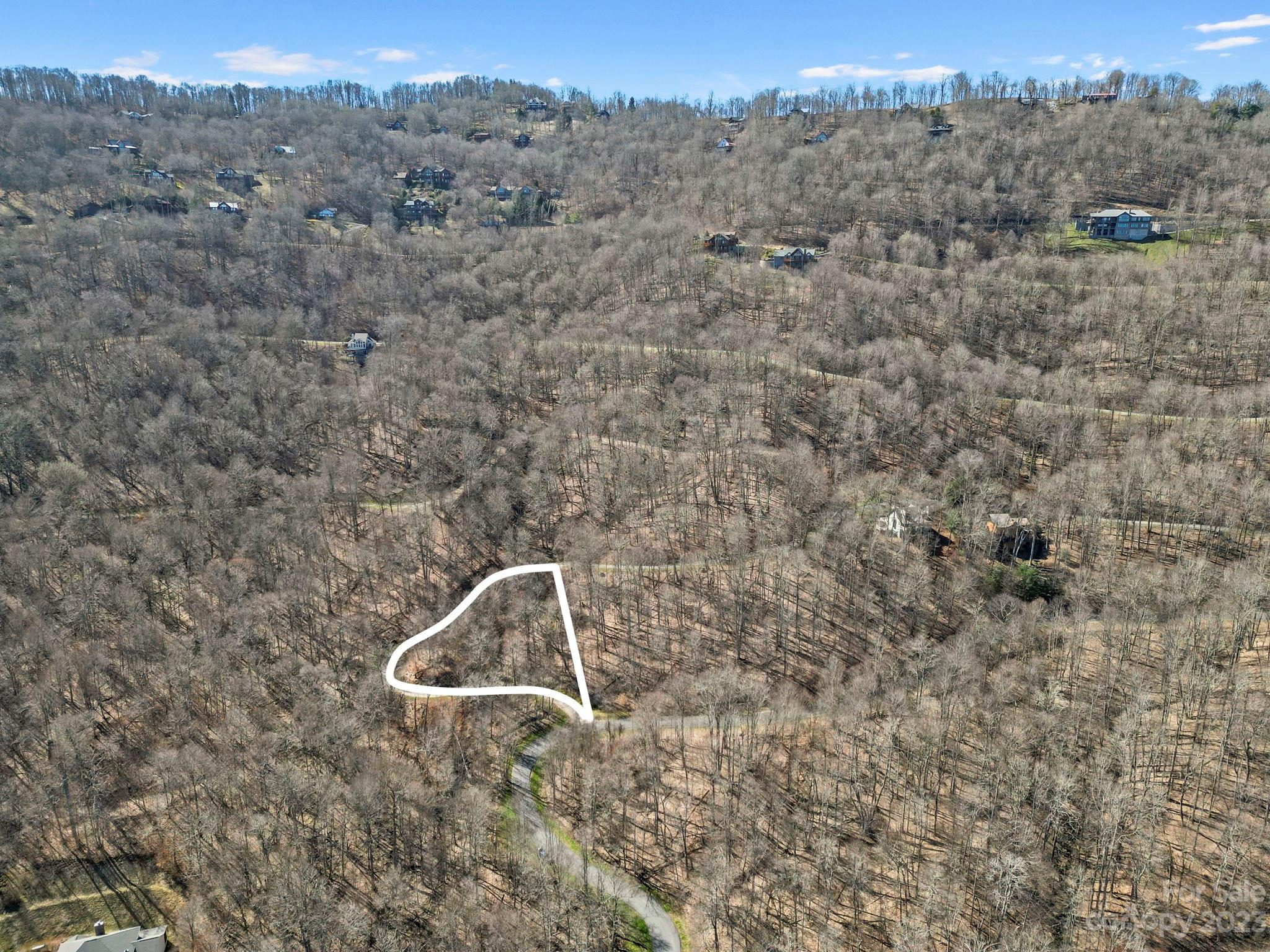 17 Chestnut Village Lane Mars Hill NC 28754