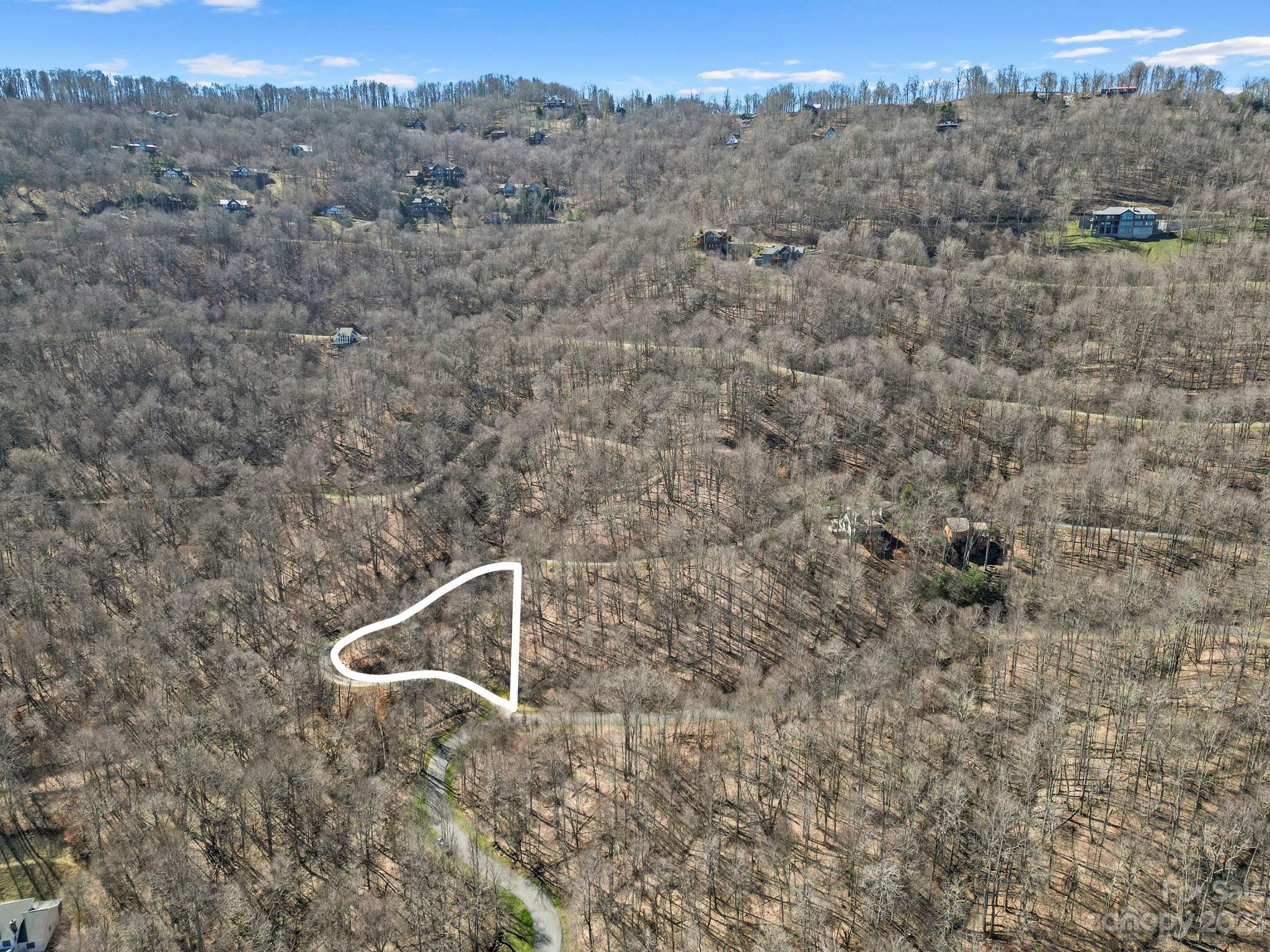 17 Chestnut Village Lane Mars Hill NC 28754