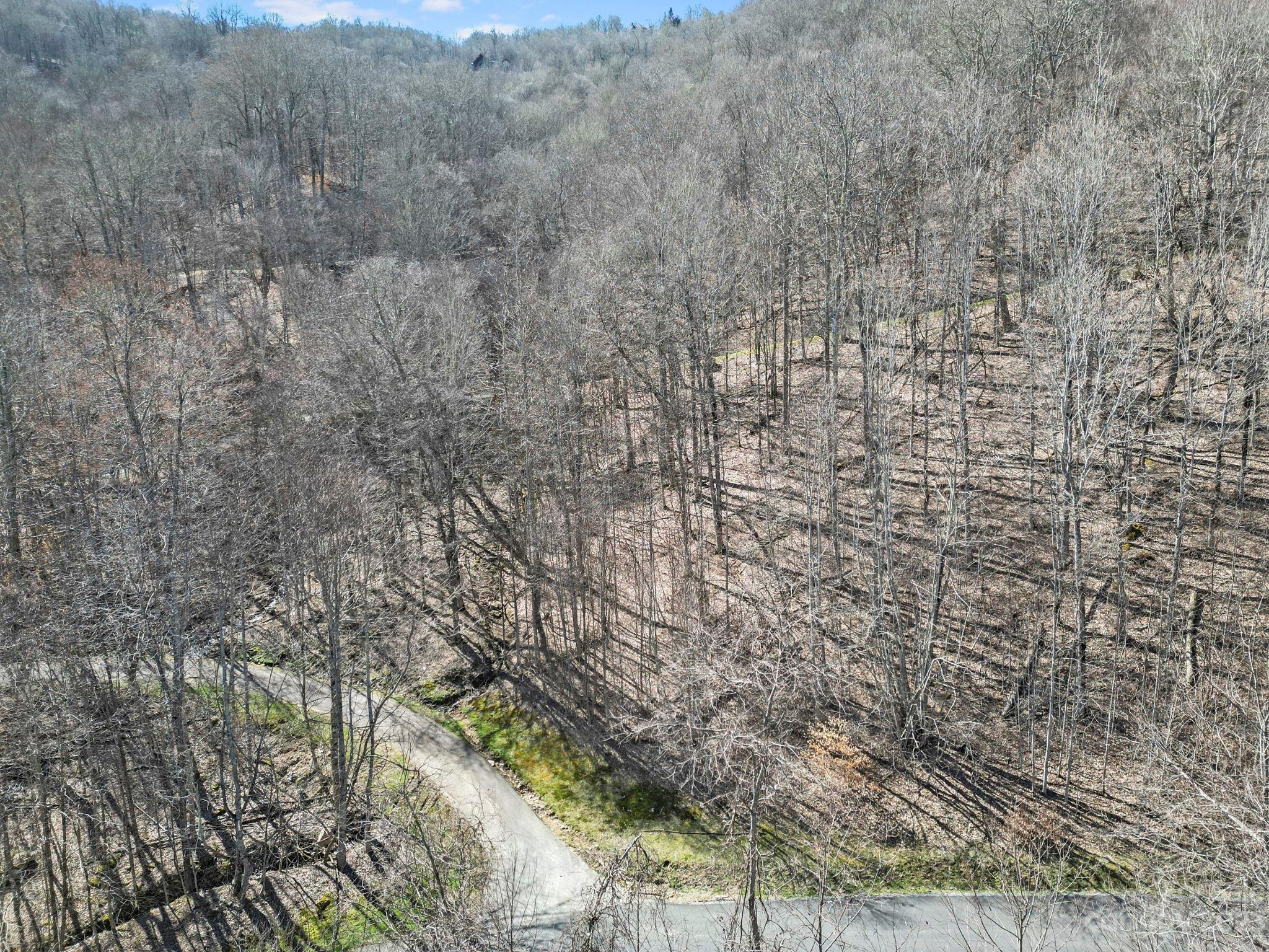 17 Chestnut Village Lane Mars Hill NC 28754