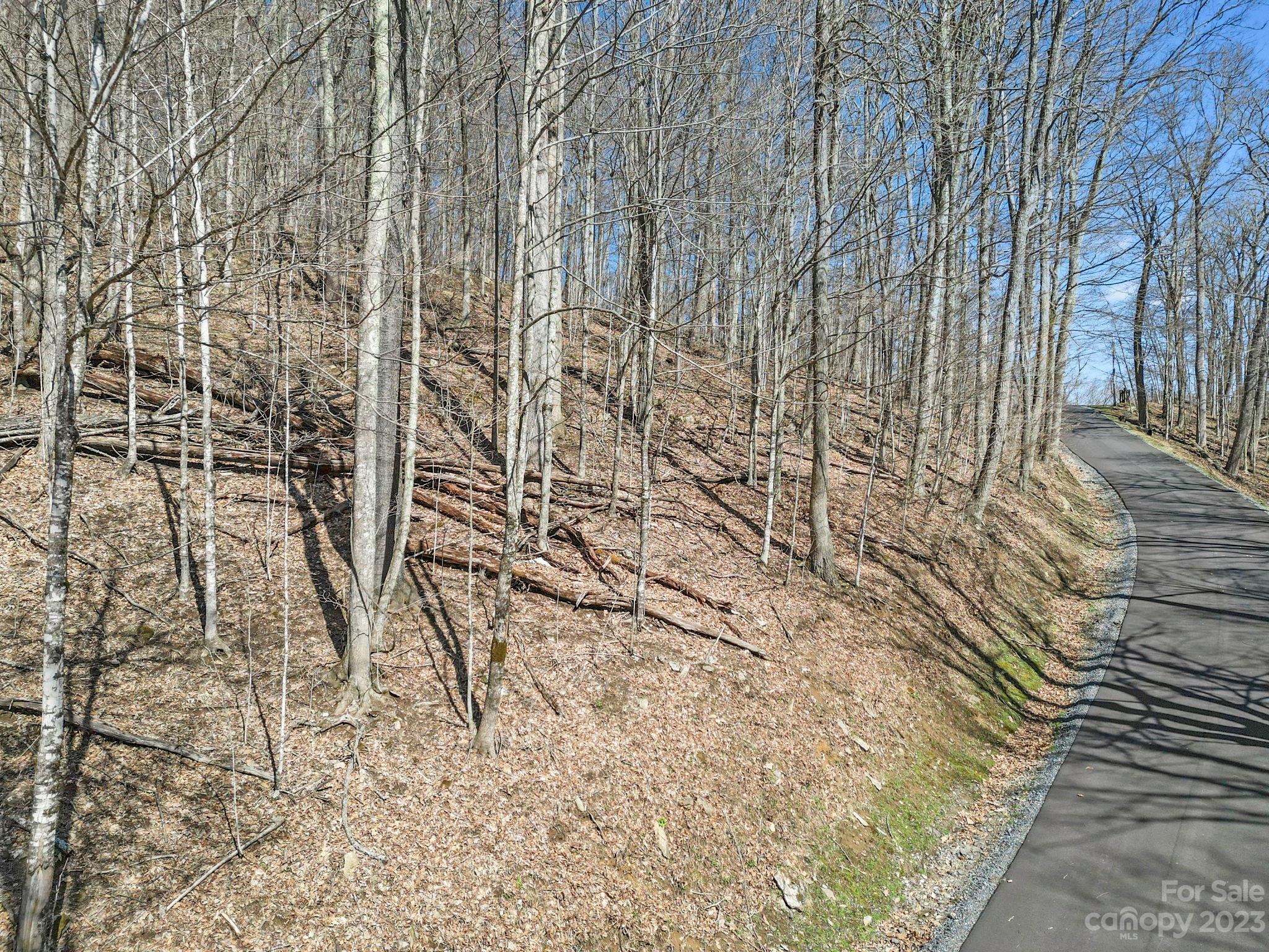 17 Chestnut Village Lane Mars Hill NC 28754
