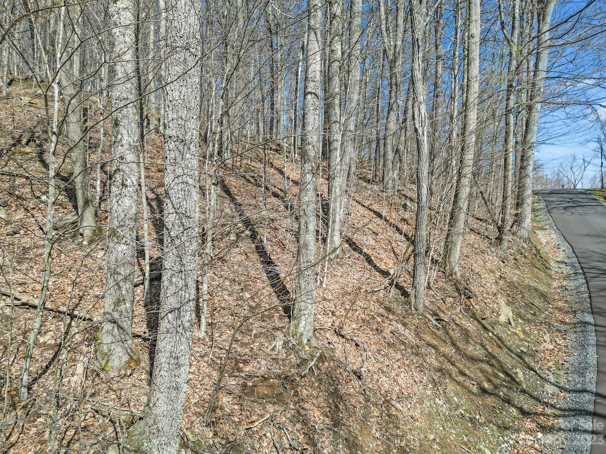 17 Chestnut Village Lane Mars Hill NC 28754