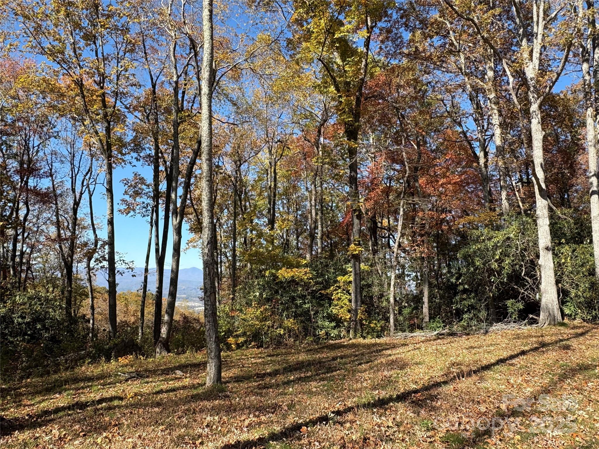 45 Trillium Garden Trail Fletcher NC 28732