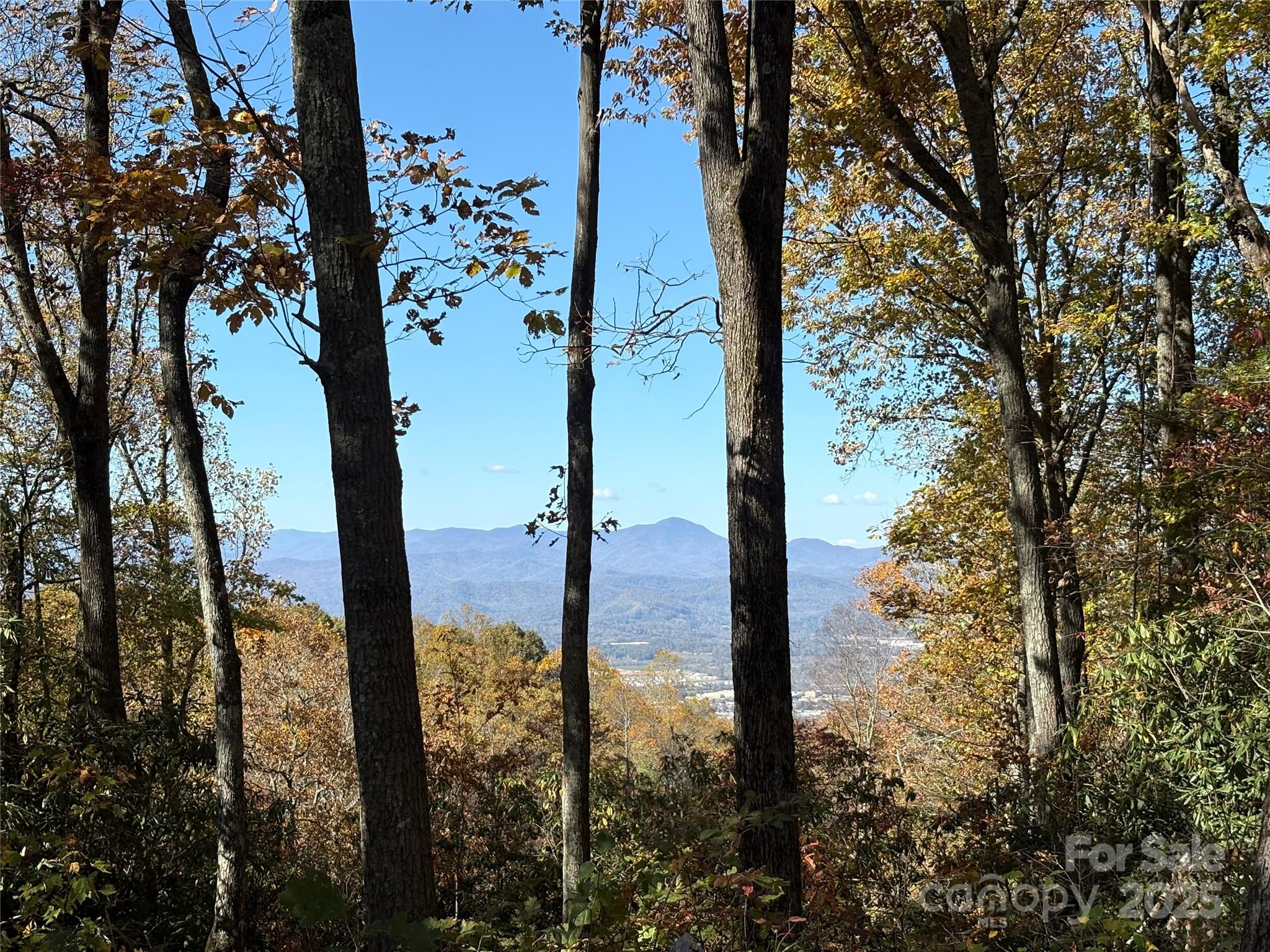 45 Trillium Garden Trail Fletcher NC 28732