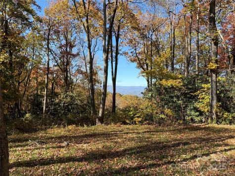 45 Trillium Garden Trail Fletcher NC 28732