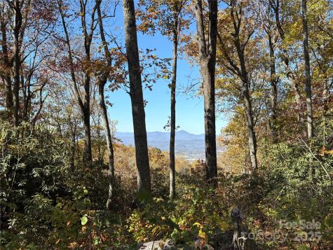 45 Trillium Garden Trail Fletcher NC 28732