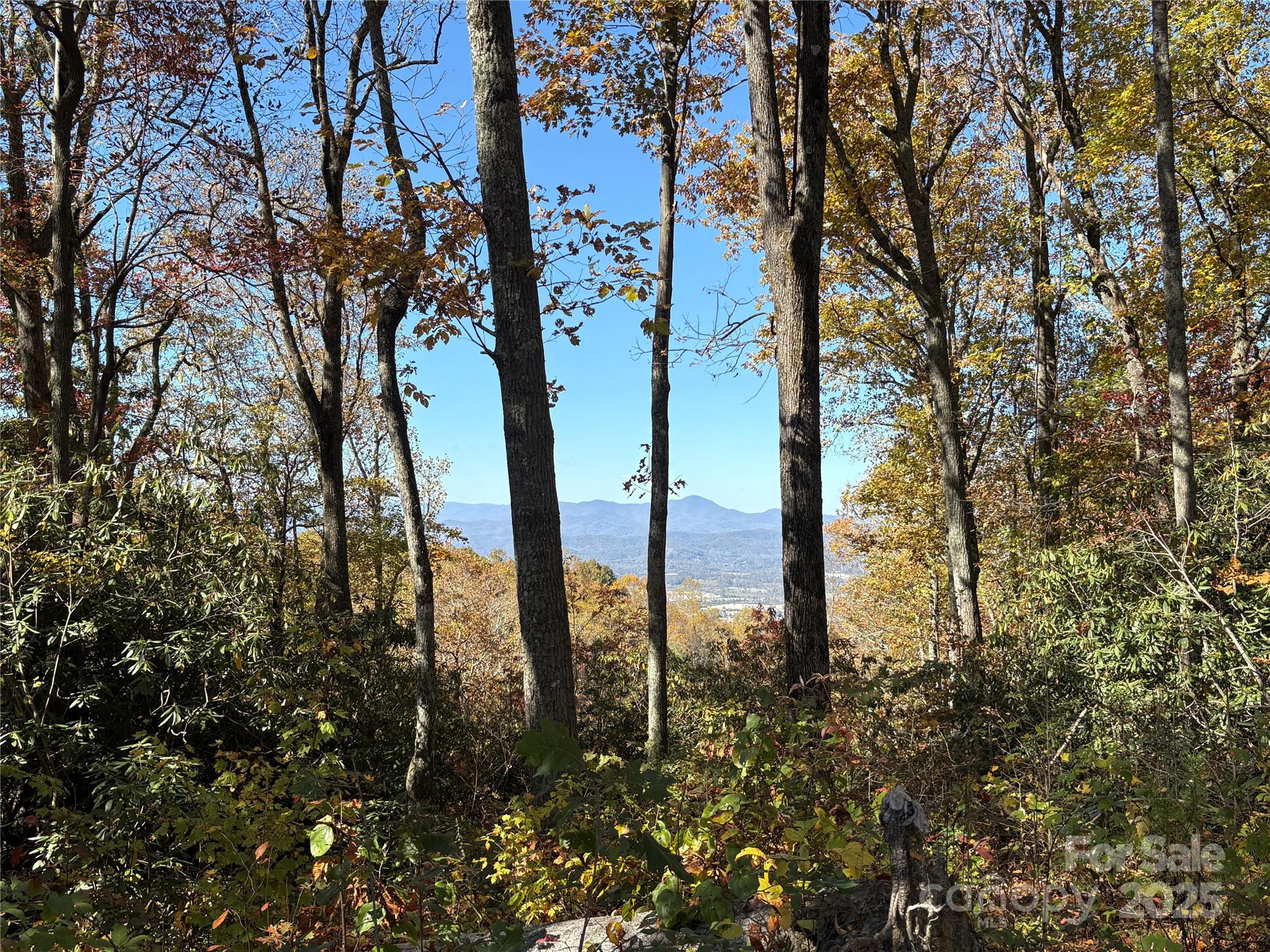 45 Trillium Garden Trail Fletcher NC 28732