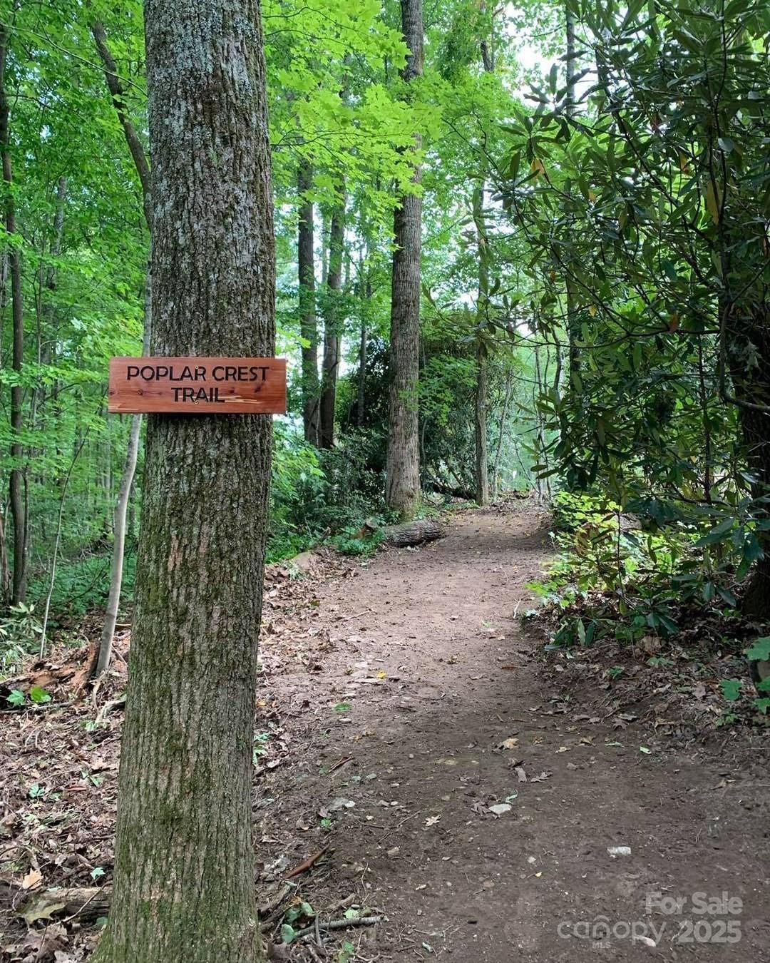 45 Trillium Garden Trail Fletcher NC 28732