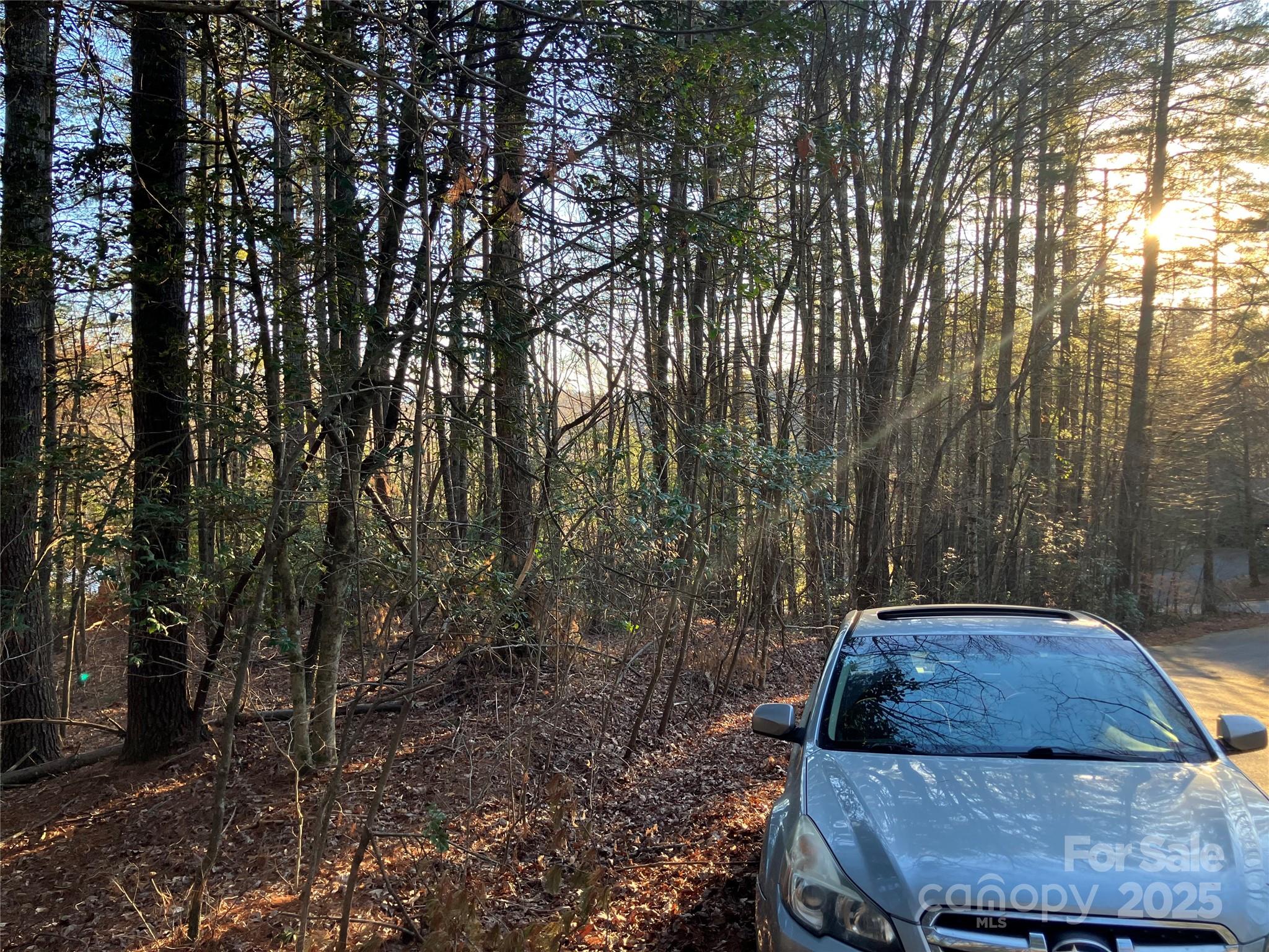 8&9 Arbor Lane Pisgah Forest NC 28768