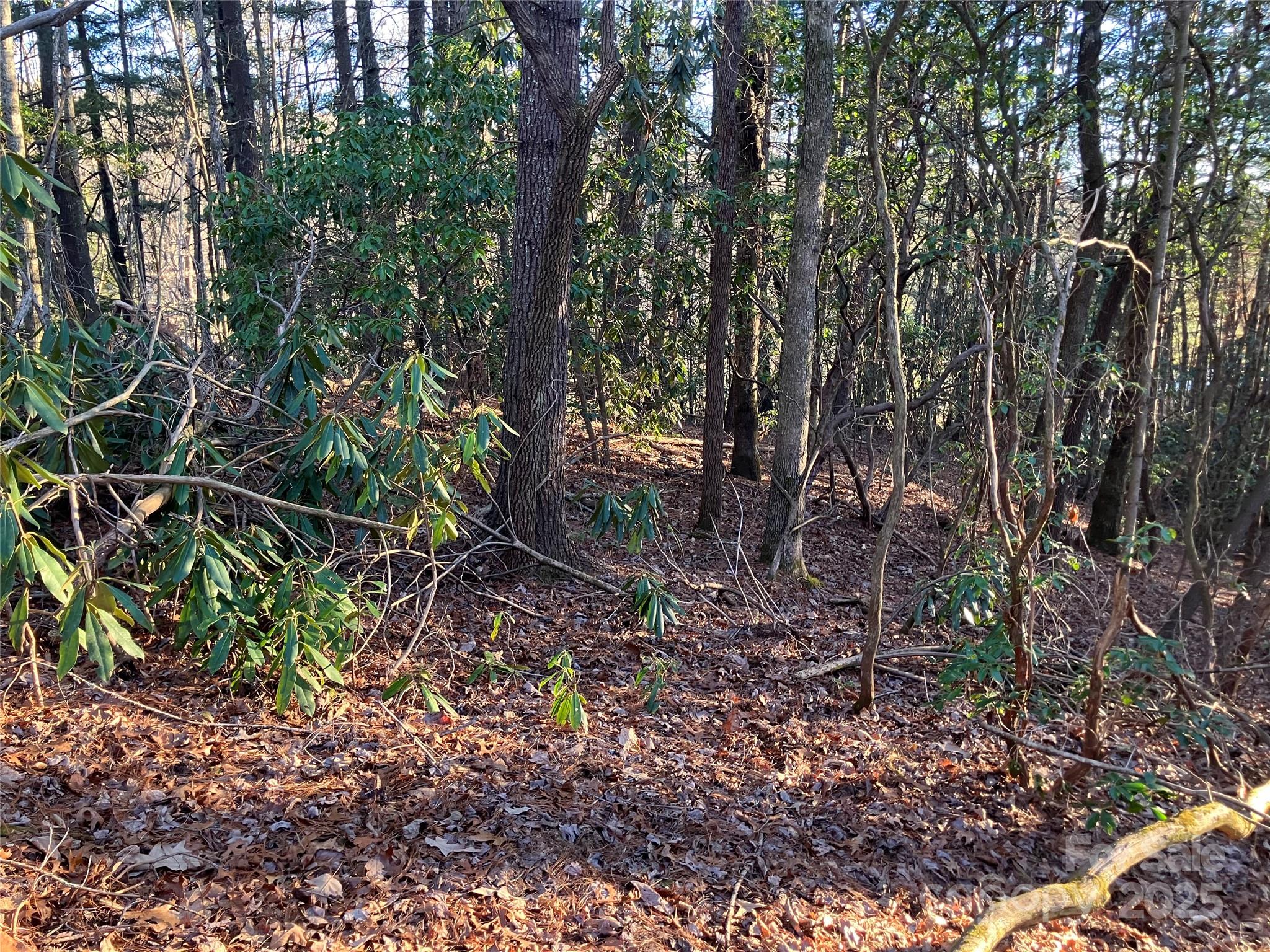 8&9 Arbor Lane Pisgah Forest NC 28768