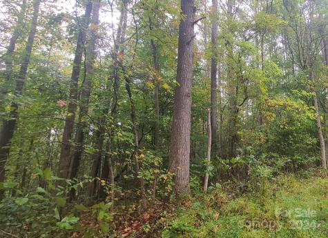 Tbd Wildwood Lane Troy NC 27371