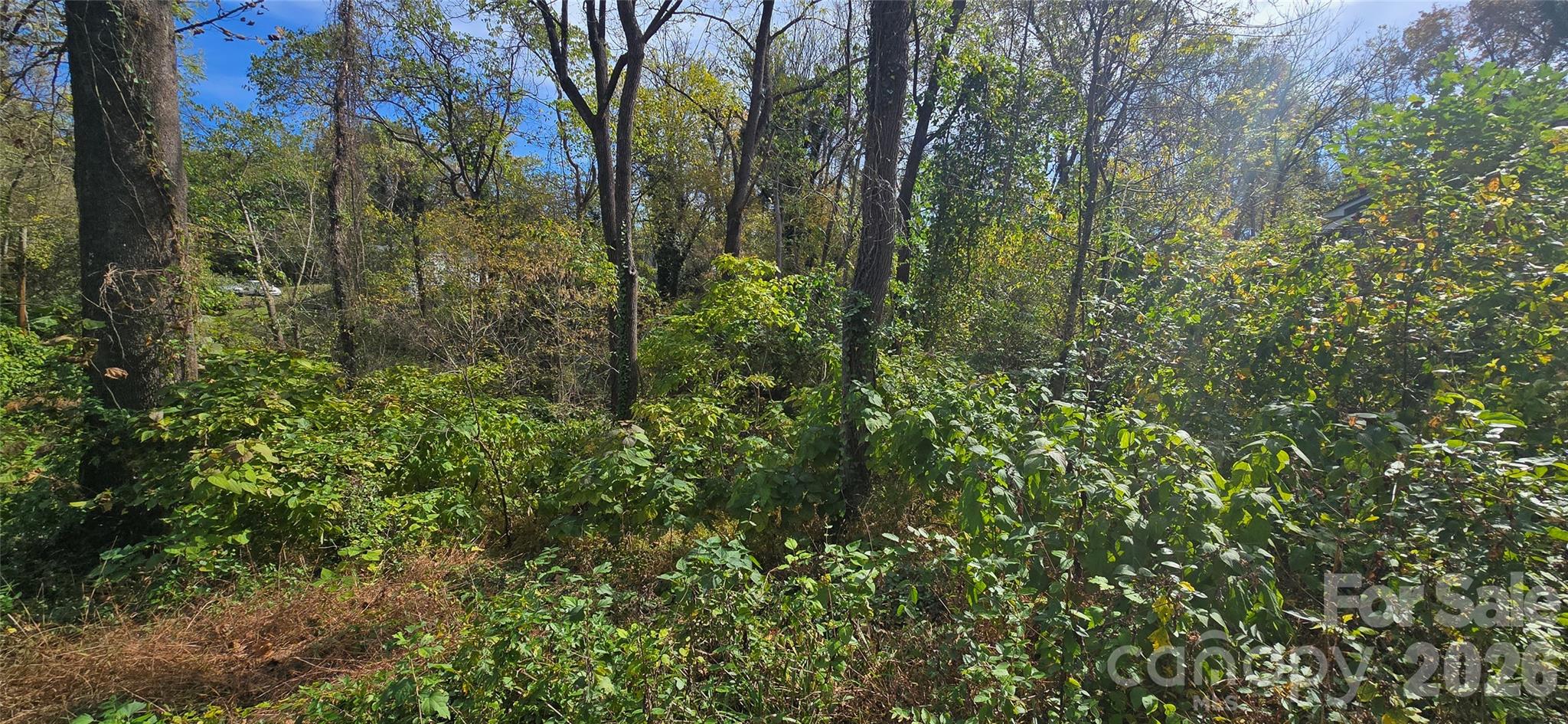 520 Healan Place NW Lenoir NC 28645