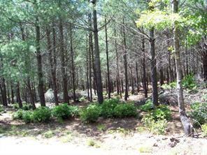 1552 Bear Cliff Drive Nebo NC 28761