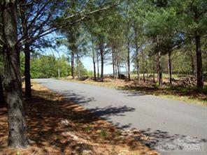 1552 Bear Cliff Drive Nebo NC 28761