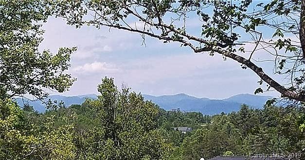34 Homestead Ridge Road Weaverville NC 28787