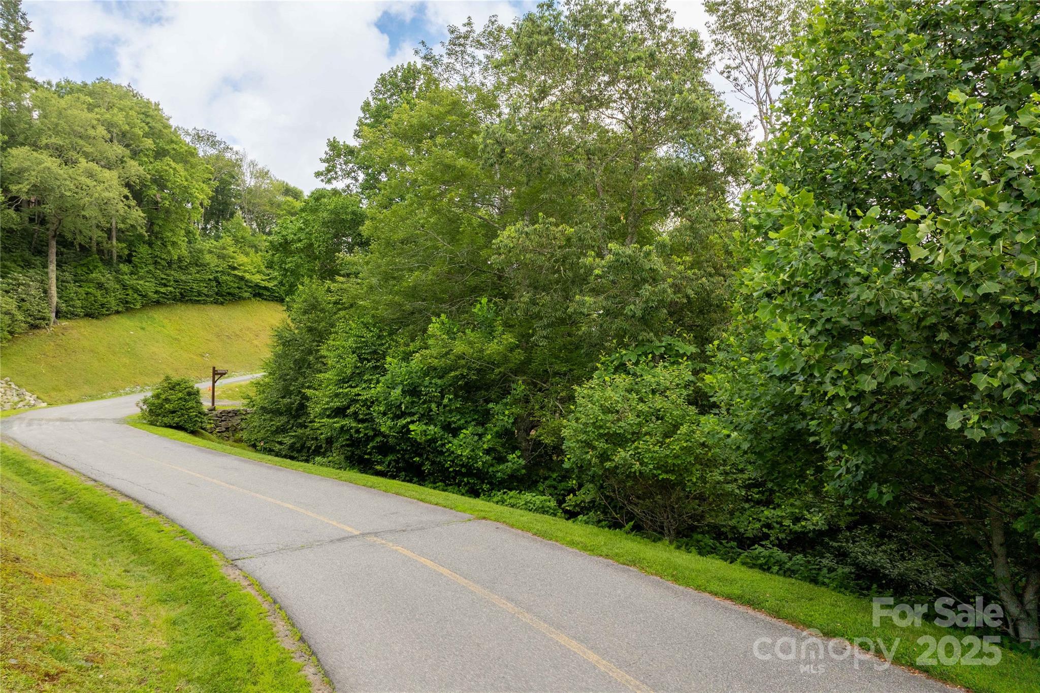 Tbd Lot 217 Thunderhill Trail Blowing Rock NC 28605