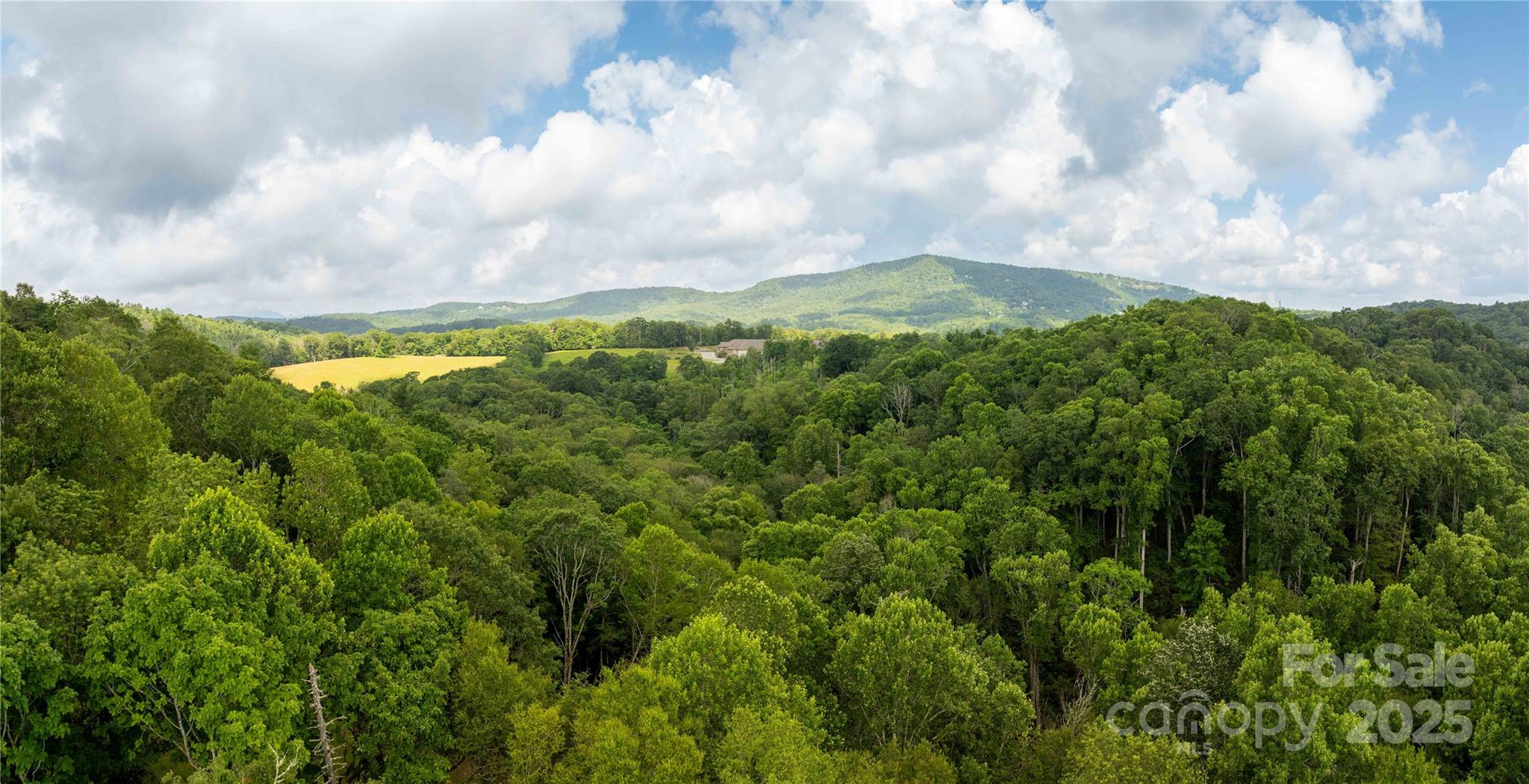 Tbd Lot 217 Thunderhill Trail Blowing Rock NC 28605