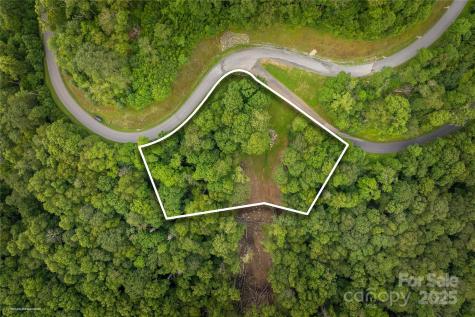Tbd Lot 217 Thunderhill Trail Blowing Rock NC 28605