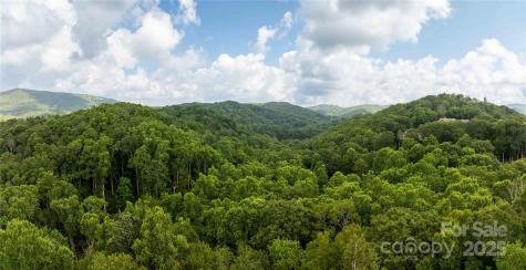 Tbd Lot 217 Thunderhill Trail Blowing Rock NC 28605