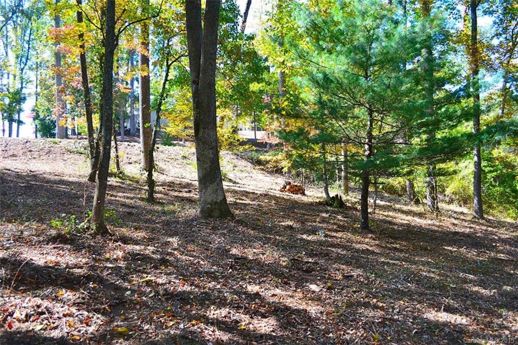 313 S Braeside Court Asheville NC 28803