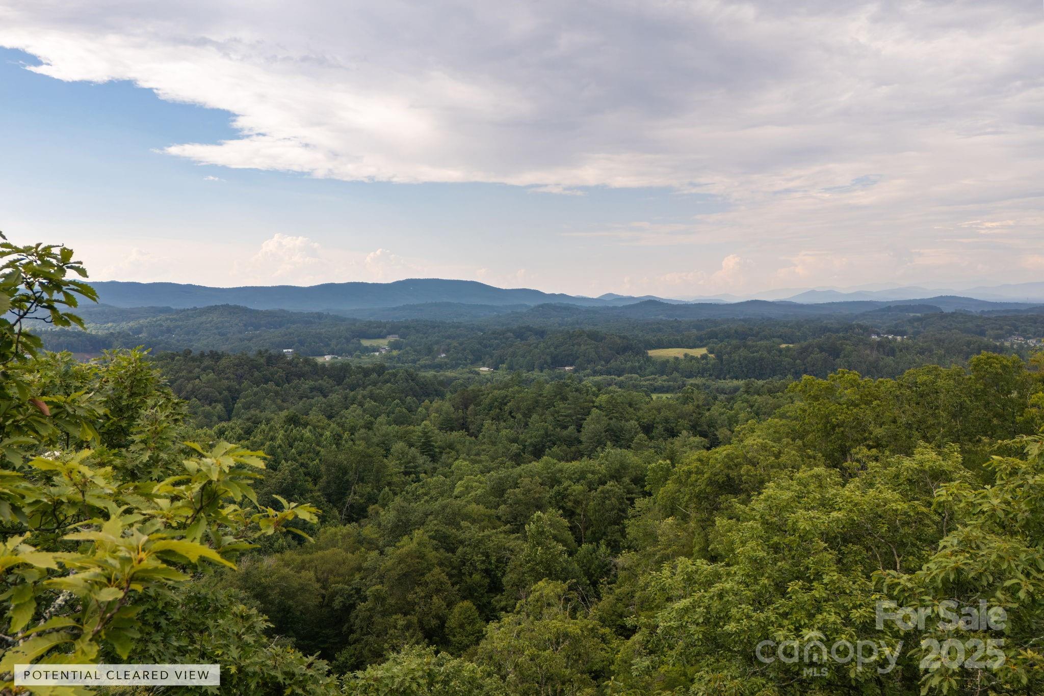 Lot # 8 Masterpiece View Drive Hendersonville NC 28739