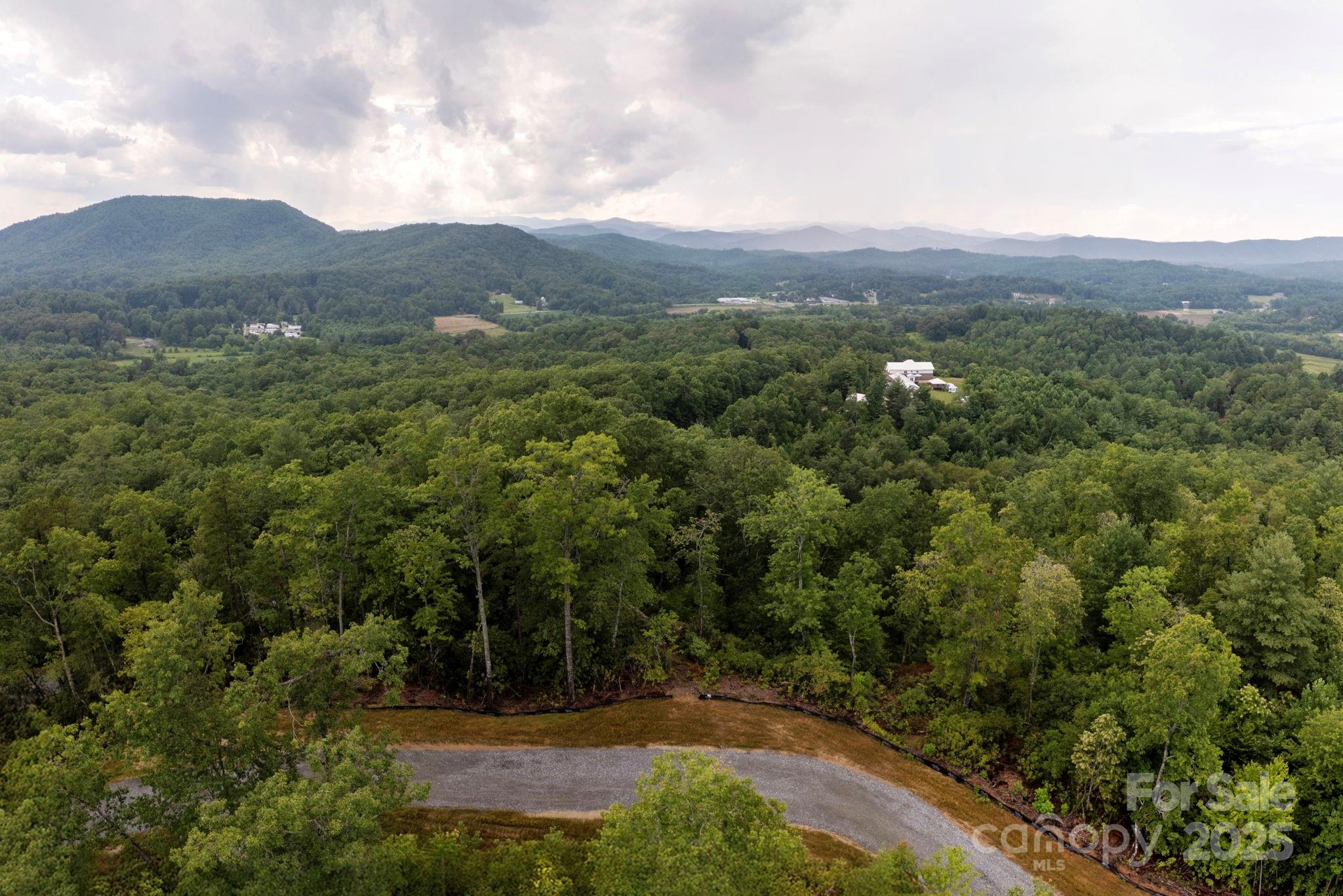 Lot # 8 Masterpiece View Drive Hendersonville NC 28739