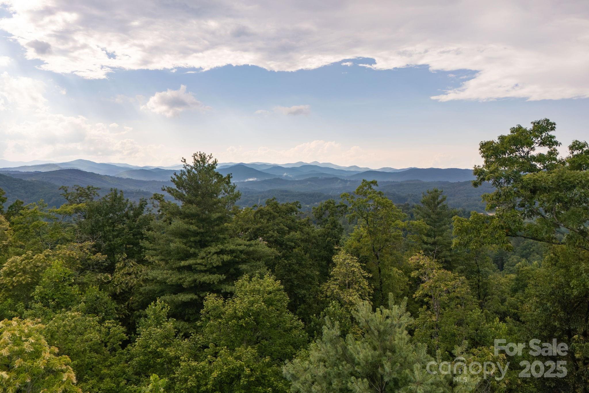Lot # 8 Masterpiece View Drive Hendersonville NC 28739