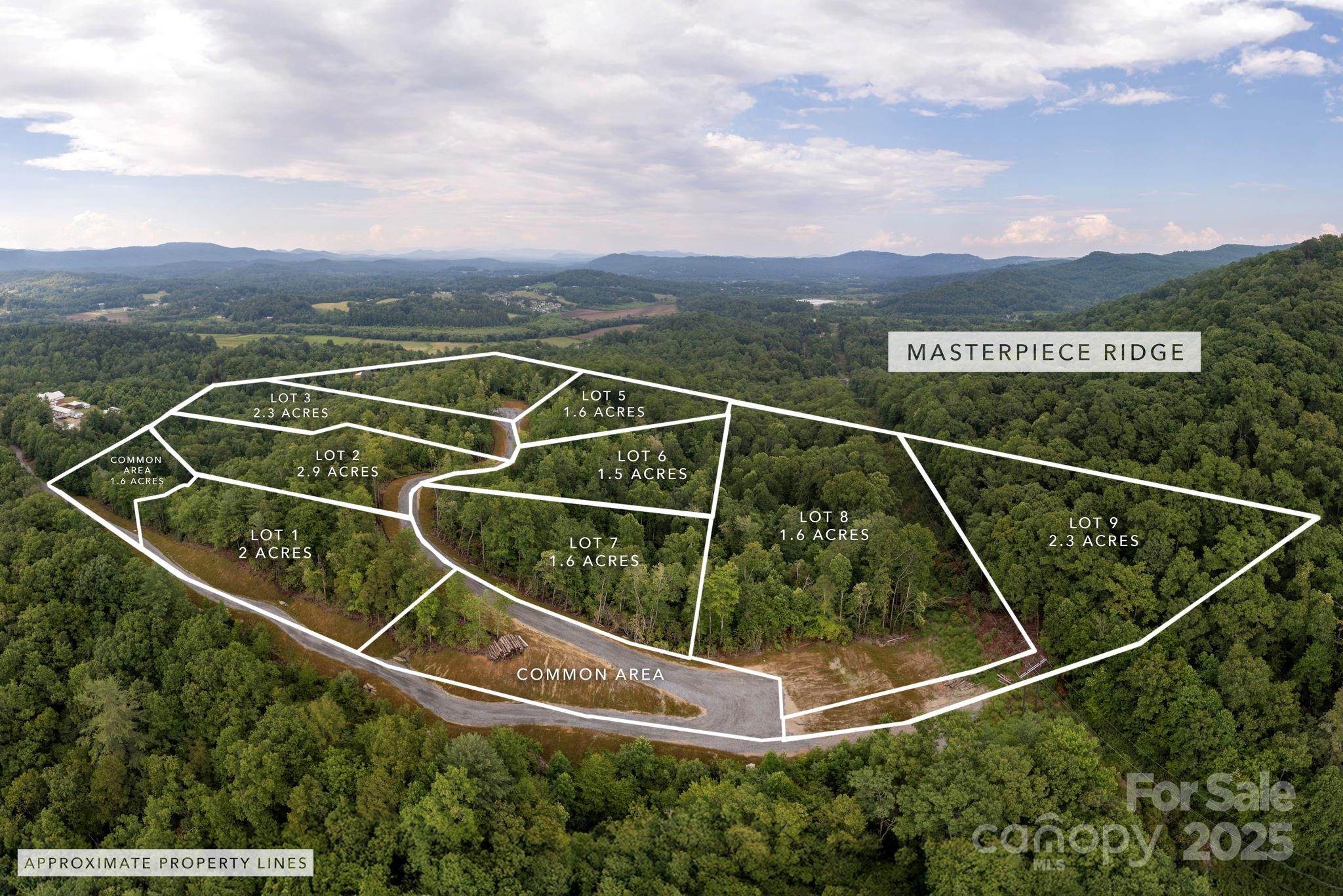Lot # 8 Masterpiece View Drive Hendersonville NC 28739