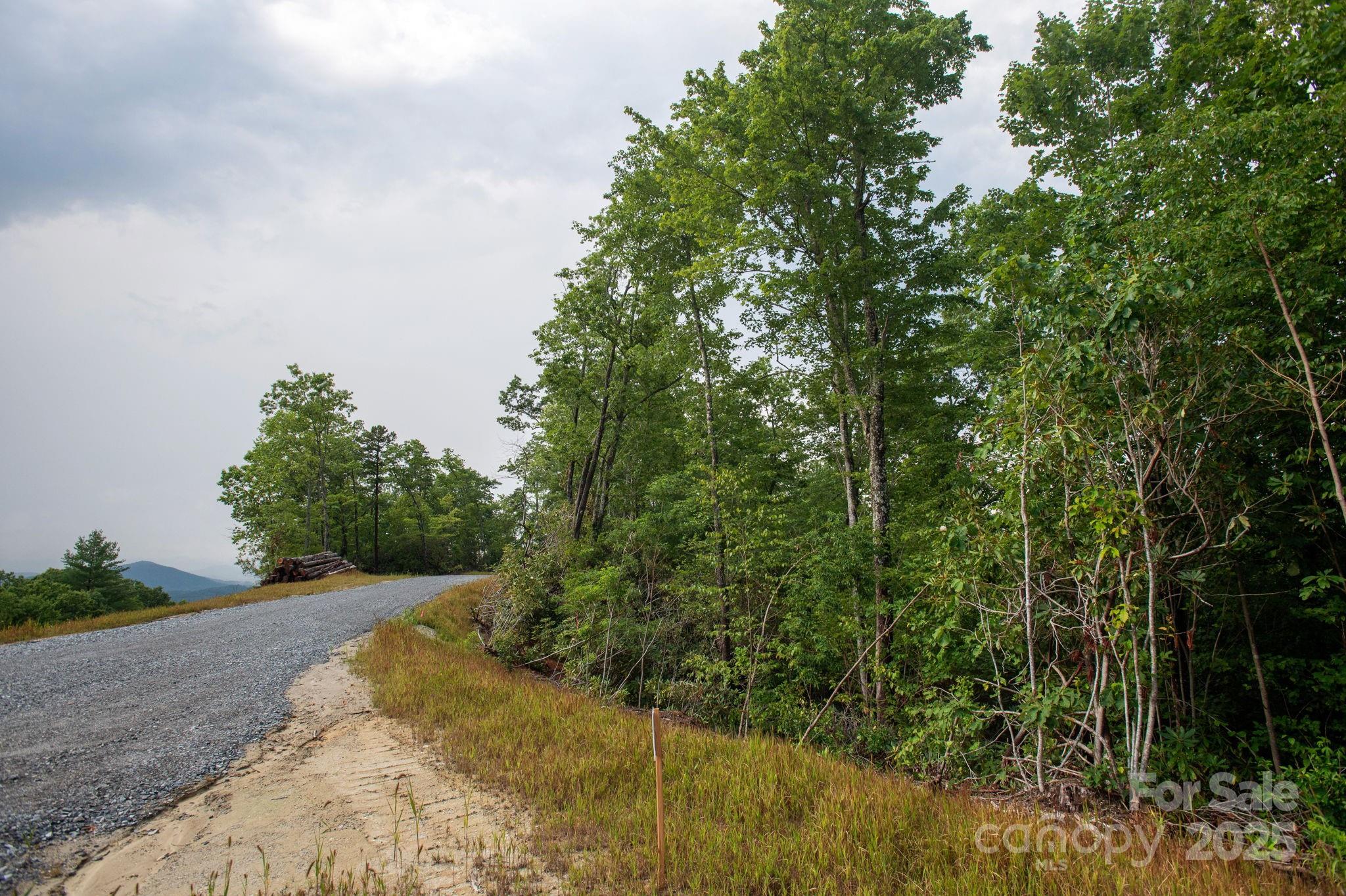 Lot # 8 Masterpiece View Drive Hendersonville NC 28739