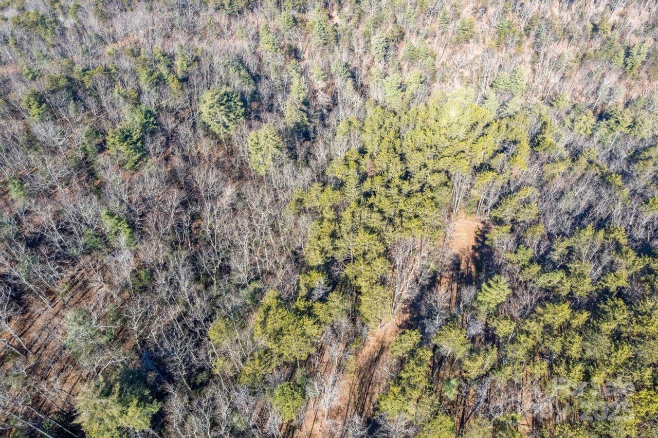 0 Sassafras Lane Connelly Springs NC 28612