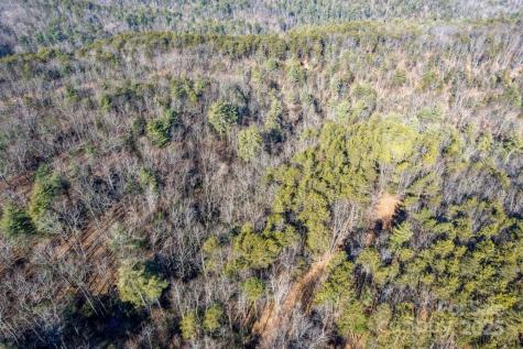 0 Sassafras Lane Connelly Springs NC 28612
