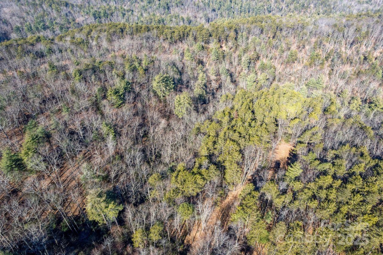 0 Sassafras Lane Connelly Springs NC 28612