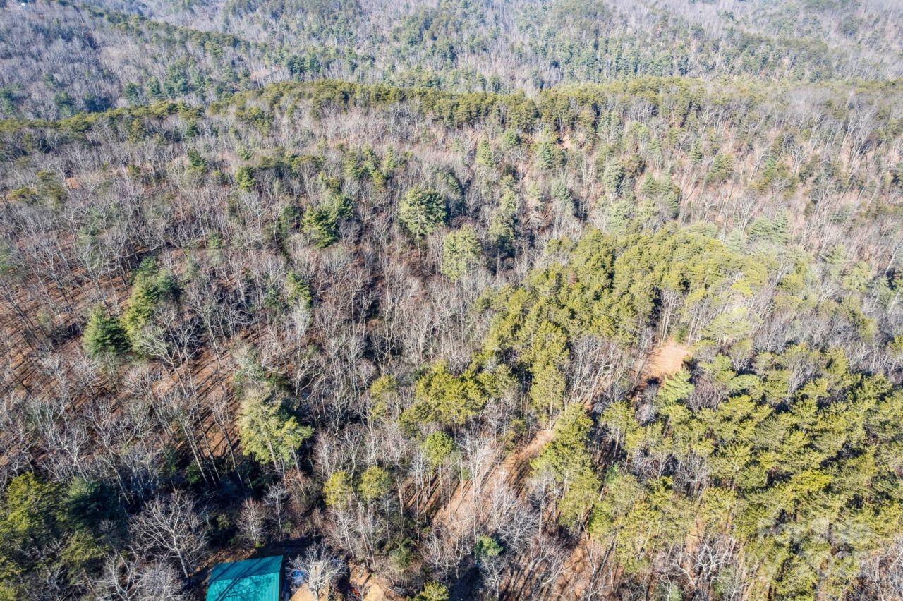 0 Sassafras Lane Connelly Springs NC 28612