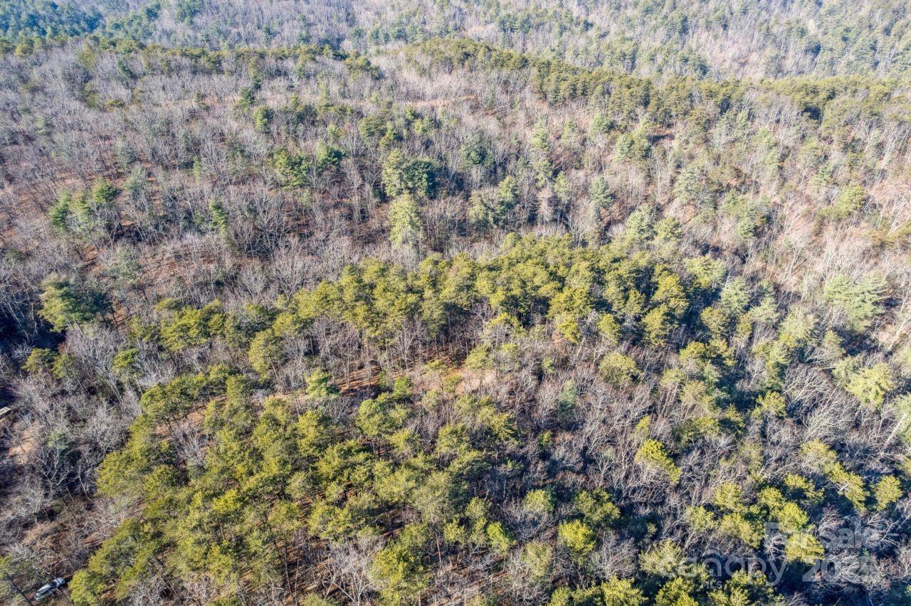 0 Sassafras Lane Connelly Springs NC 28612