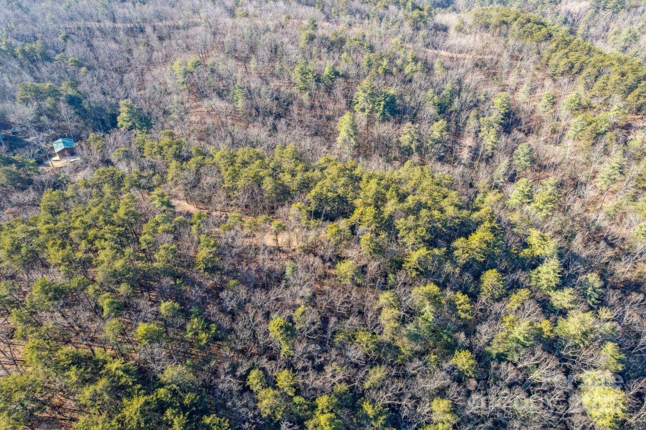 0 Sassafras Lane Connelly Springs NC 28612