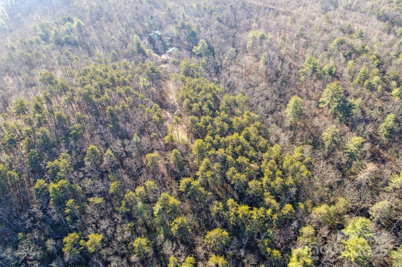 0 Sassafras Lane Connelly Springs NC 28612