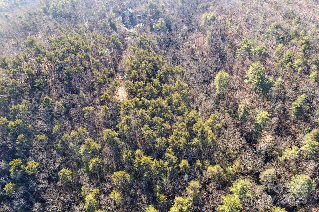 0 Sassafras Lane Connelly Springs NC 28612