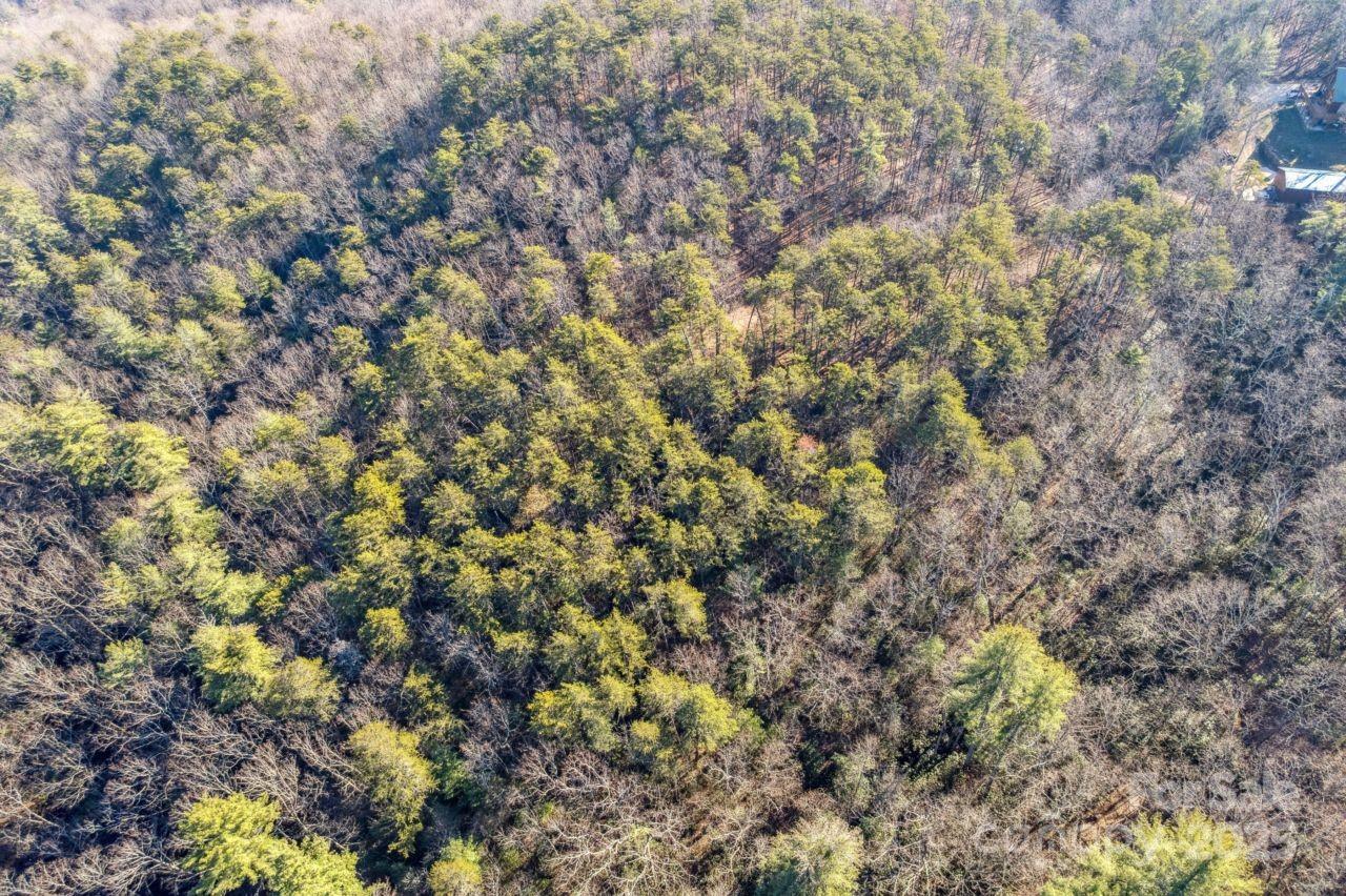 0 Sassafras Lane Connelly Springs NC 28612