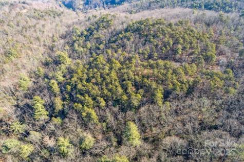 0 Sassafras Lane Connelly Springs NC 28612
