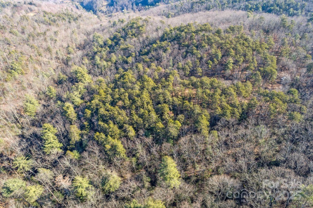 0 Sassafras Lane Connelly Springs NC 28612