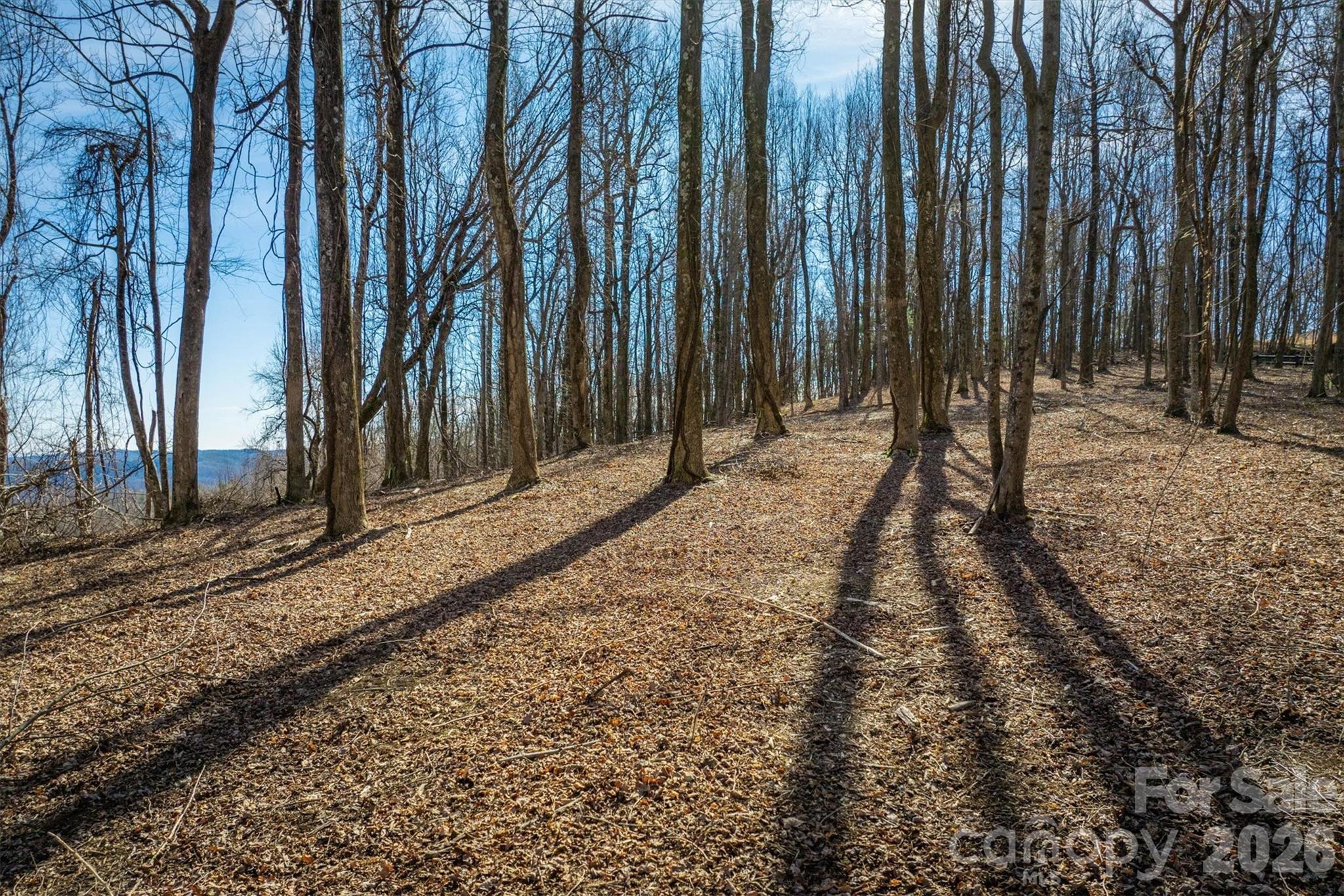 7596 Walkertop Mountain Overlook Drive Morganton NC 28655