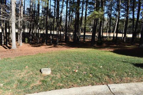171 Yadkin Falls Badin Lake NC 28127