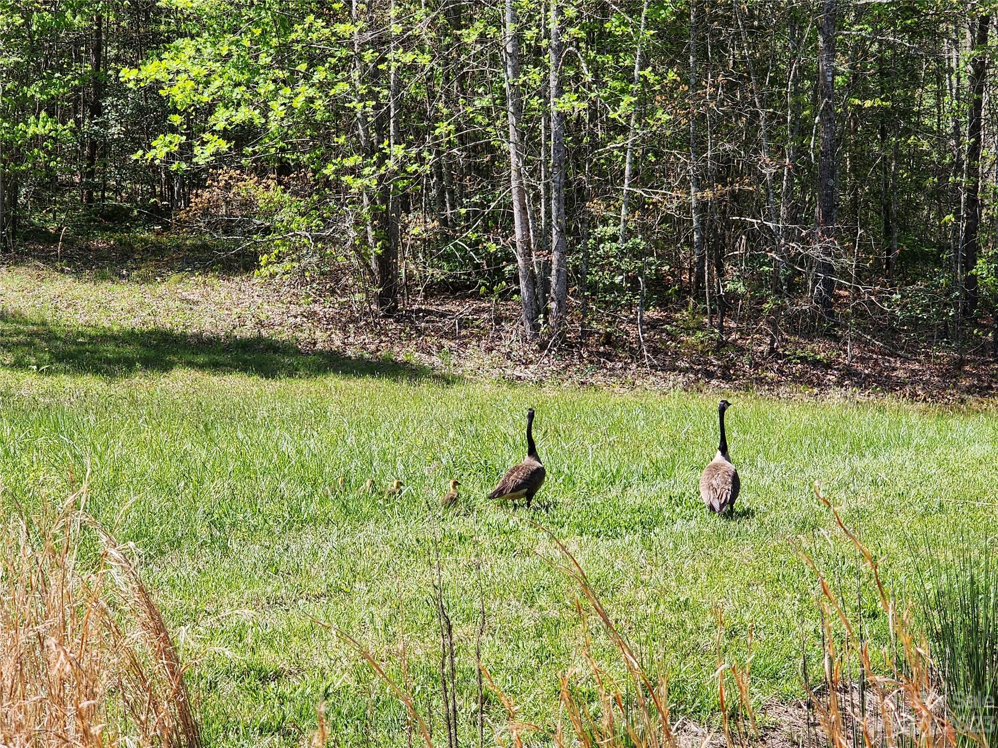 314 Gold Finch Drive Union Mills NC 28167